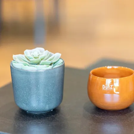 公寓 Hawerlaender 施马伦贝格